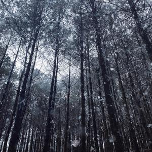 藤森理惠游泳池
