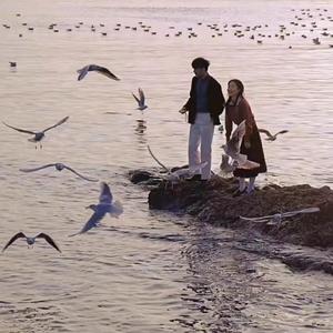 藤森理惠游泳池
