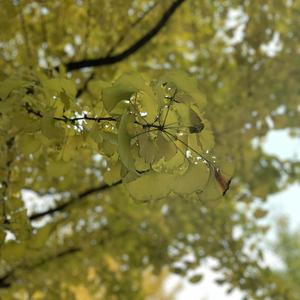 藤森理惠游泳池
